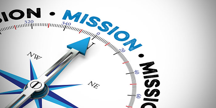 Importance of Mission or Vision for an Initiative